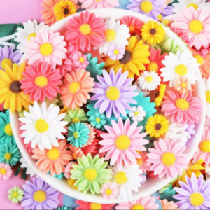 Sunny Squad Sunnies Glow-Up (Add-On)